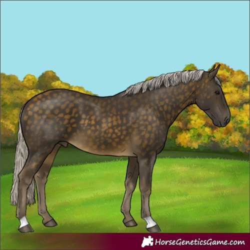 Horse Color:Silver Buckskin 