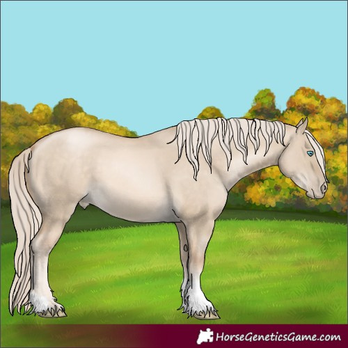 Horse Color:Chocolate Palomino Pearl Dun 