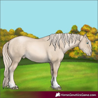 Horse Color:Chocolate Palomino Pearl Dun 