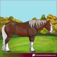 Horse Color:Silver Brown Splash 