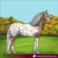 Horse Color:Gray Silver Smoky Black Pearl Tobiano Near Leopard