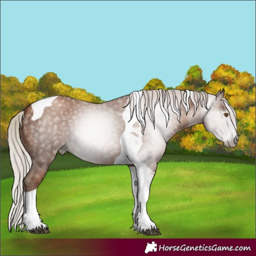 Horse Color:Gray Silver Black Pearl Tobiano 