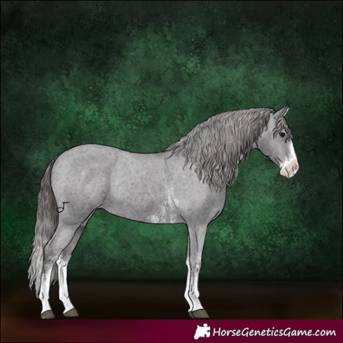 Horse Color:Smoky Black Sabino Splash Varnish Rabicano 
