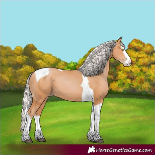 Horse Color:Silver Bay Pearl Splash Tobiano