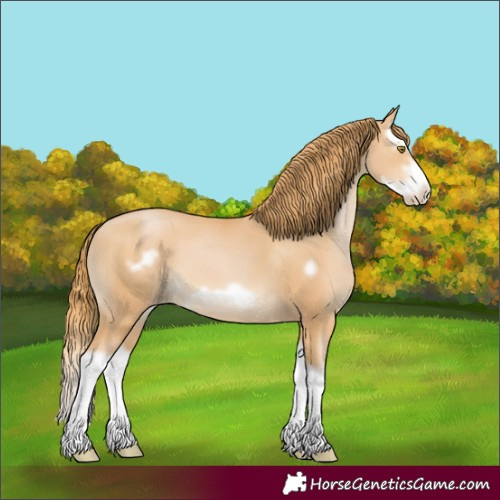 Horse Color:Chestnut Pearl Splash Frame 