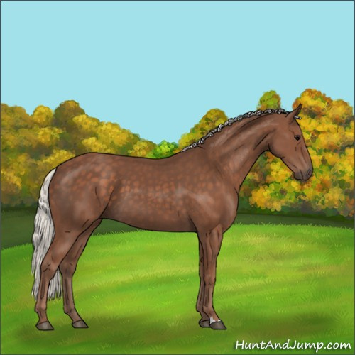 Horse Color:Silver Black 