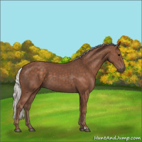 Horse Color:Silver Black 