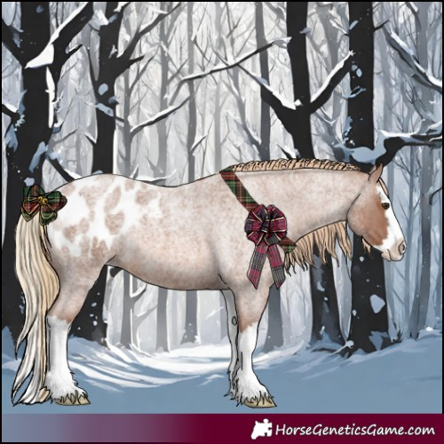Horse Color:Red Roan Splash Appaloosa 