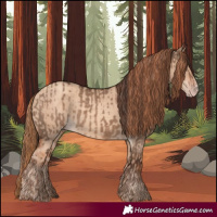 Horse Color:Liver Red Dun and Gold Champagne Dun