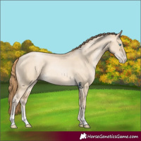 Horse Color:Buckskin Pearl Dun Sabino 