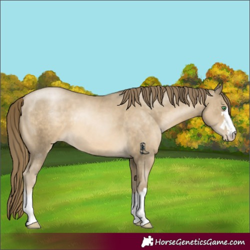 Horse Color:Smoky Black Pearl 