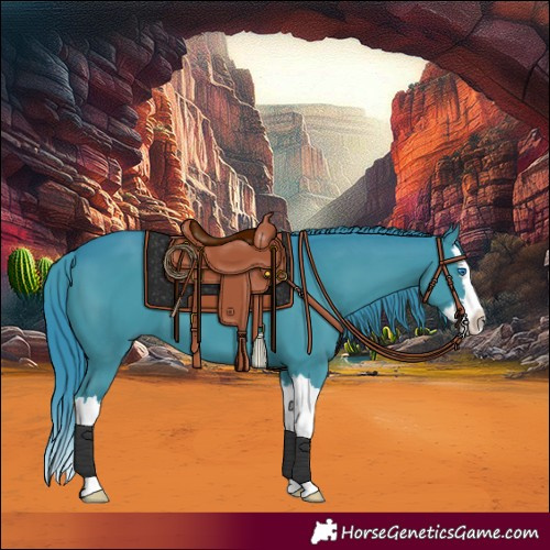 Horse Color:Watercolor Black Splash