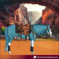 Horse Color:Watercolor Black Splash