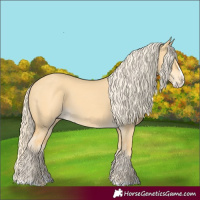 Horse Color:Palomino Dun Splash 