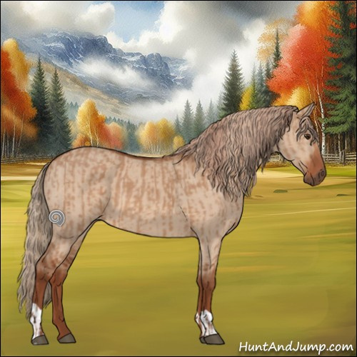 Horse Color:Red Dun  and Red Dun 