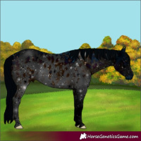 Horse Color:ERROR: UNKNOWN ANOMALY