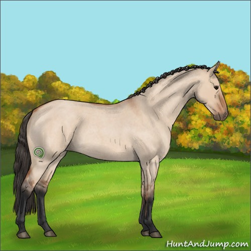 Horse Color:Bay Roan Dun