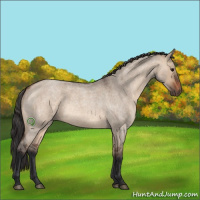Horse Color:Brown Roan Dun 
