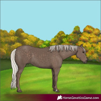 Horse Color:Silver Black 