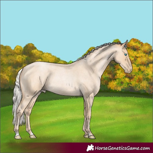 Horse Color:Silver Smoky Blue Roan Pearl 