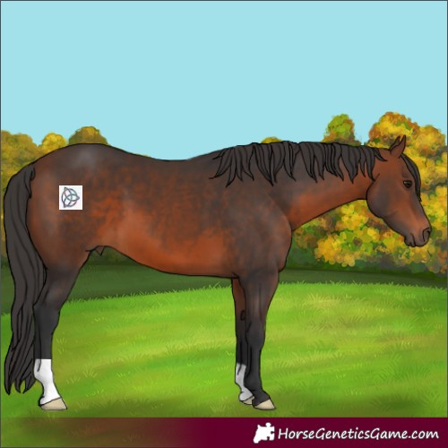 Horse Color:Brown 