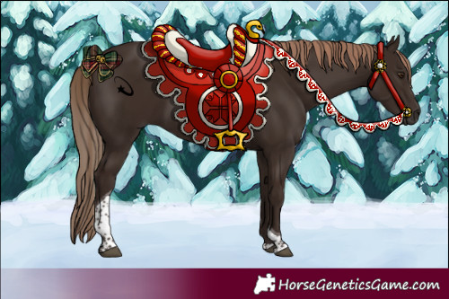 Horse Color:Liver Chestnut Tobiano