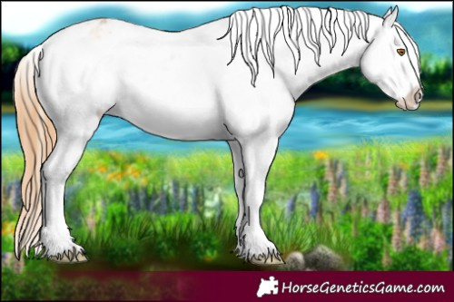 Horse Color:Sable Cream Champagne Ice Onyx Sabino Varnish