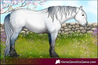 Horse Color:ERROR: UNKNOWN ANOMALY