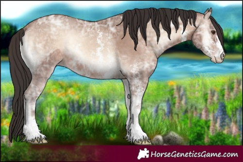 Horse Color:Sable Champagne Ice Onyx Sabino