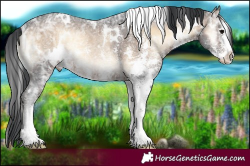 Horse Color:White Spotted Brown Ice Onyx Sabino Rabicano 