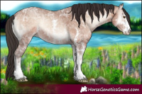 Horse Color:Sable Champagne Ice Onyx Sabino