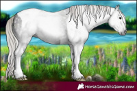 Horse Color:Gray Midnight Silver Black Tobiano 