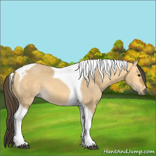 Horse Color:Buckskin Dun Tobiano