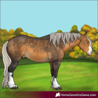 Horse Color:Silver Buckskin 