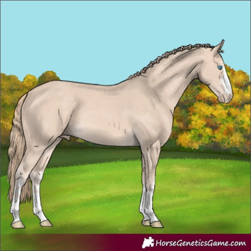 Horse Color:Perlino 