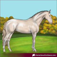 Horse Color:Perlino 