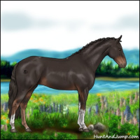 Horse Color:Liver Chestnut Tobiano 