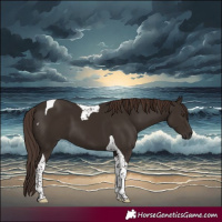 Horse Color:Liver Chestnut Tobiano 