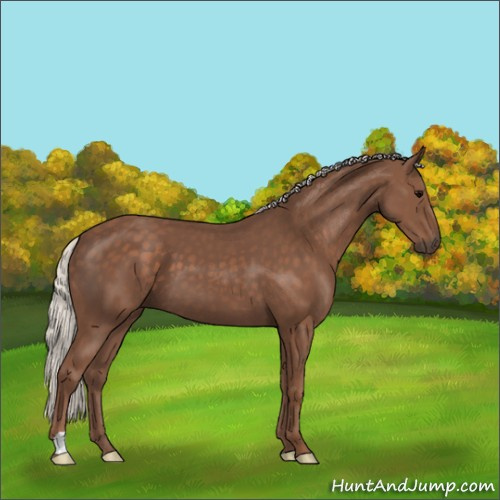 Horse Color:Silver Black 
