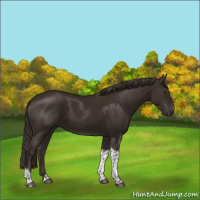 Horse Color:Liver Chestnut Tobiano 