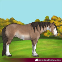 Horse Color:White Spotted Liver Red Dun Rabicano 