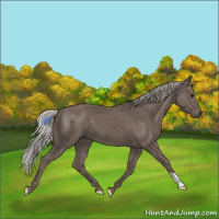 Horse Color:Silver Black 