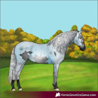 Horse Color:ERROR: UNKNOWN ANOMALY