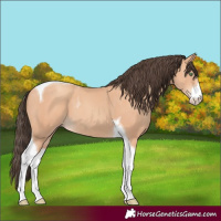 Horse Color:White Spotted Amber Champagne Tobiano