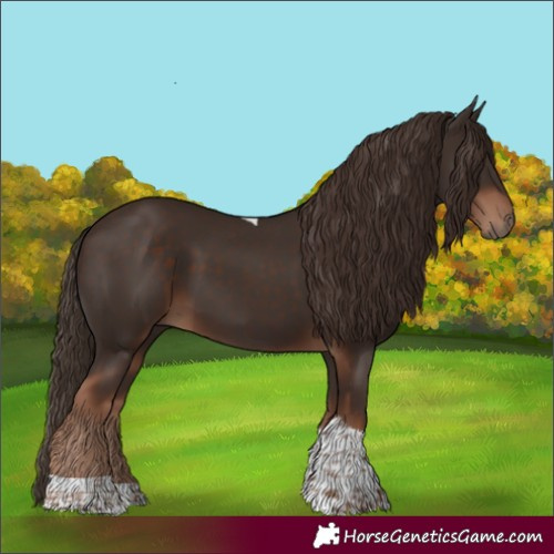 Horse Color:Liver Chestnut Tobiano