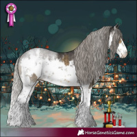 Horse Color:White Spotted Silver Buckskin Dun  and White Spotted Silver Smoky Black Rabicano 