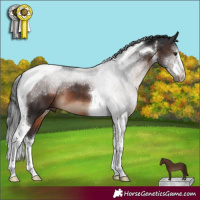 Horse Color:White Spotted Brown Tobiano 