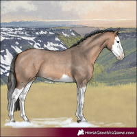 Horse Color:Bay Roan Dun Splash 