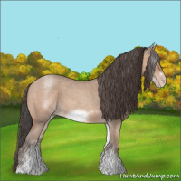 Horse Color:White Spotted Sable Champagne Roan Frame 