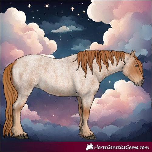 Horse Color:Red Roan 